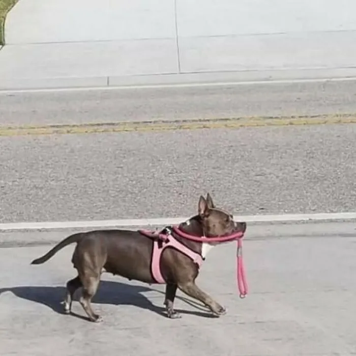 Si quieres que algo se haga, hazlo tú
