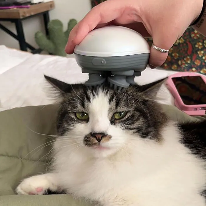 Ankilo's <span Style="Font:inherit;color:#d74b1f;"> Electric Massager</Span> Is Here To Melt Away Those Stiff Pet Muscles!