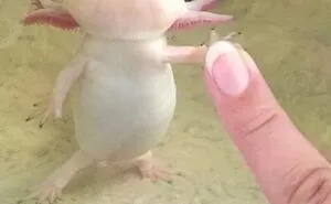 50 Pics Of Animals Being Their Hilarious Selves To Make Your Day