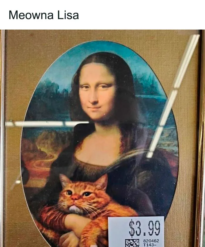 50 Times Thrift Shops Delivered Comedy Gold, As Shared By "Ridiculous Thrifter"