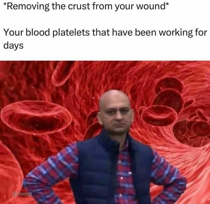 “Meme God”: 50 Hilarious Memes From This IG Page That Might Awaken Your Last Brain Cell