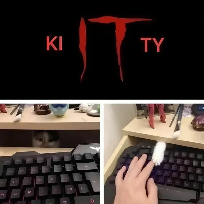 50 Funny Cat Memes That Are Better Than Netflix, As Shared On “Catsflix”