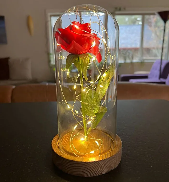 If You Have Been A Bit Of A Beast, Apologise To Your Belle With This <span Style="Font:inherit;color:#d74b1f;"> Rose In A Glass Dome</Span>, Because Every Princess Deserves One.