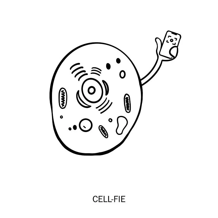 25 Playful Puns And Literal Meanings Of English Words Illustrated By Nadia Tolstoy (New Pics)