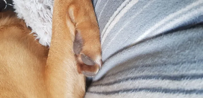 Mine