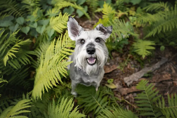 38 Dreamy Moments Of Pets That I Caught On Camera