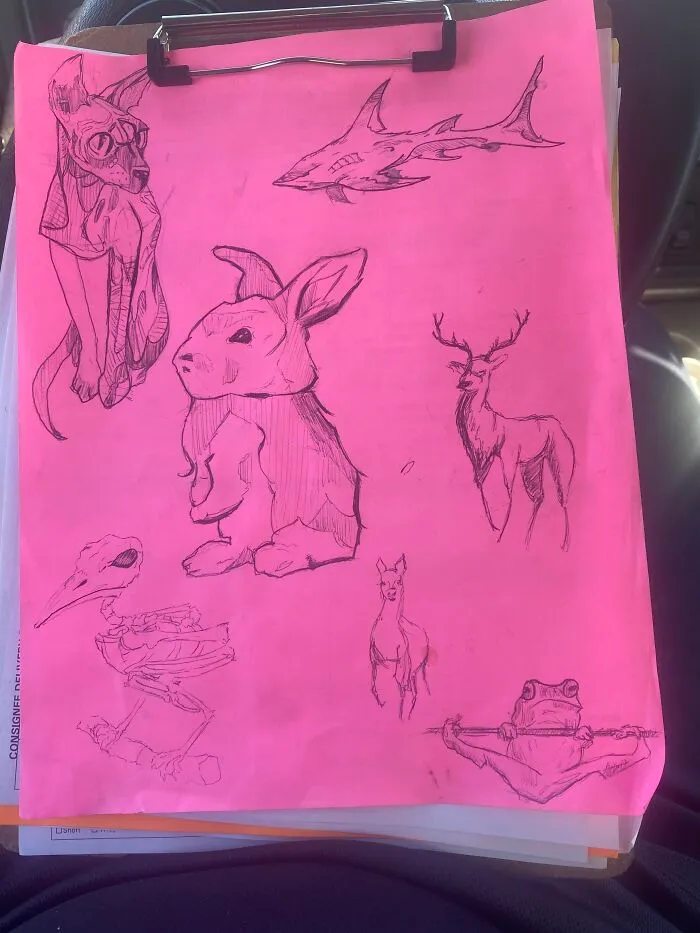 A Mix Of Critters