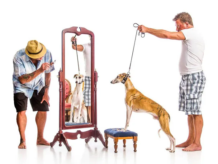I'm Making A Coffee-Table Book To Support Veterans With PTSD-Trained Service Dogs (27 Pics)