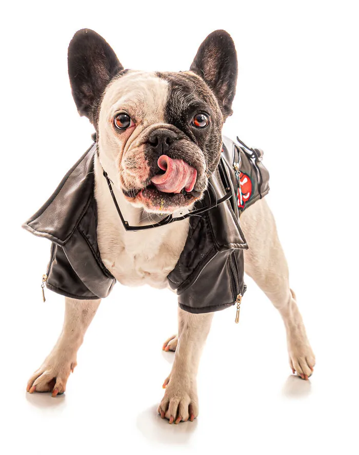 I'm Making A Coffee-Table Book To Support Veterans With PTSD-Trained Service Dogs (27 Pics)
