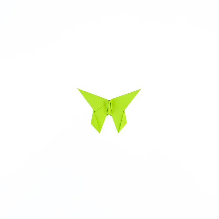 I Make Unique Origami Butterflies (38 Pics)