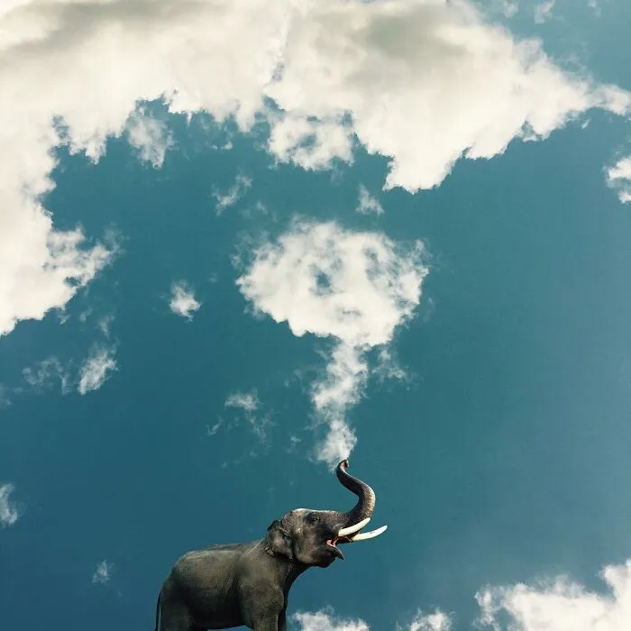 This Photographer Transforms Everyday Objects Into Cloud Art (41 Pics)