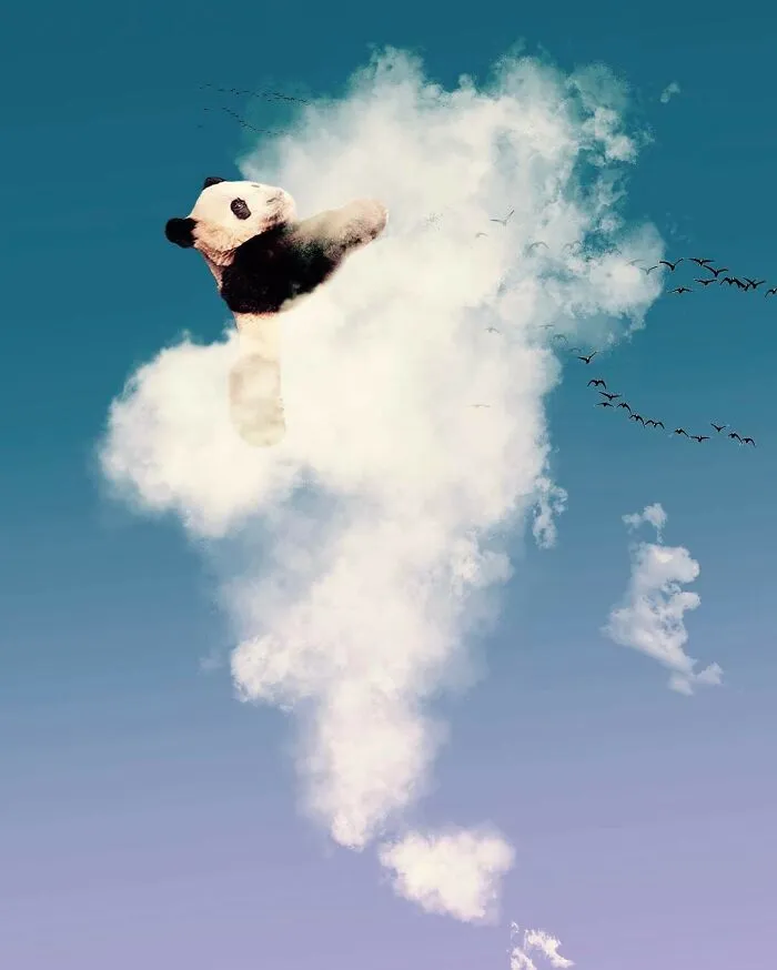 This Photographer Transforms Everyday Objects Into Cloud Art (41 Pics)