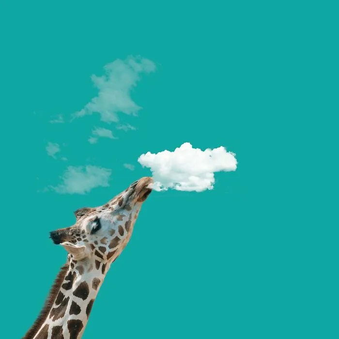 This Photographer Transforms Everyday Objects Into Cloud Art (41 Pics)