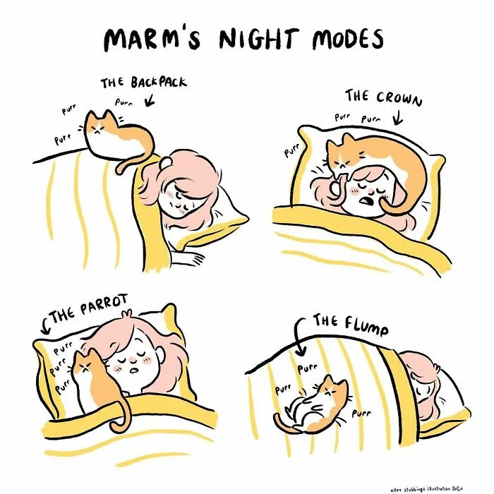 Life With Cats: 28 Cozy Comics Illustrated By This Artist