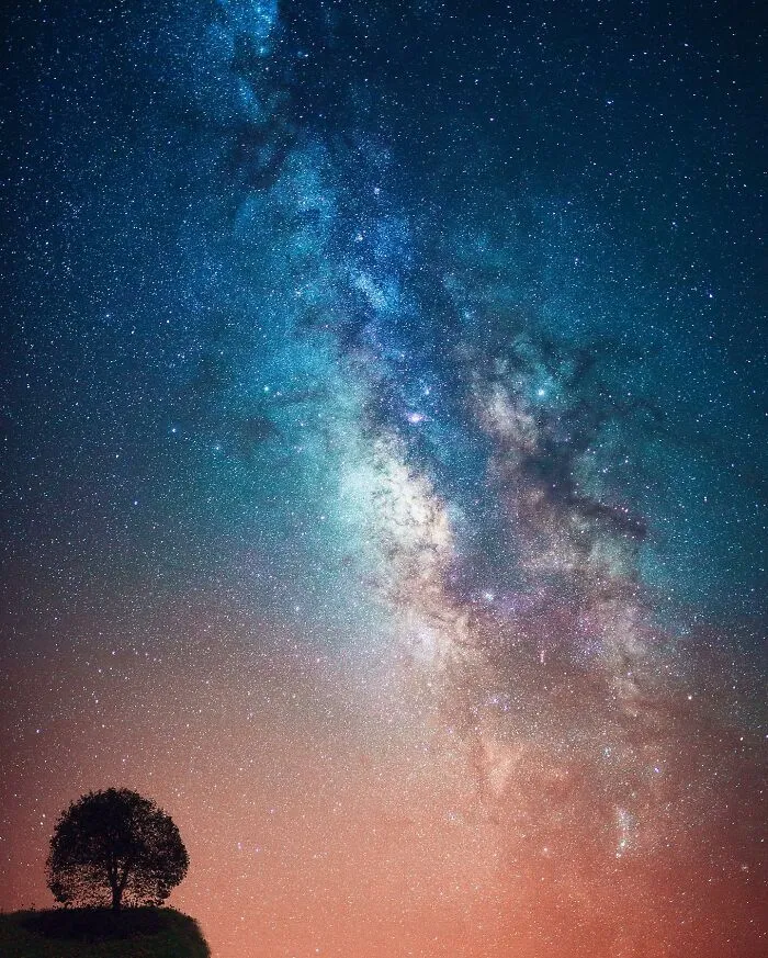 30 Mesmerizing Photos By Juuso Hämäläinen Showcasing The Magic Of Life On Our Planet