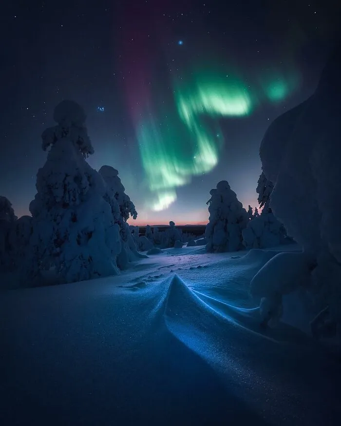 30 Mesmerizing Photos By Juuso Hämäläinen Showcasing The Magic Of Life On Our Planet