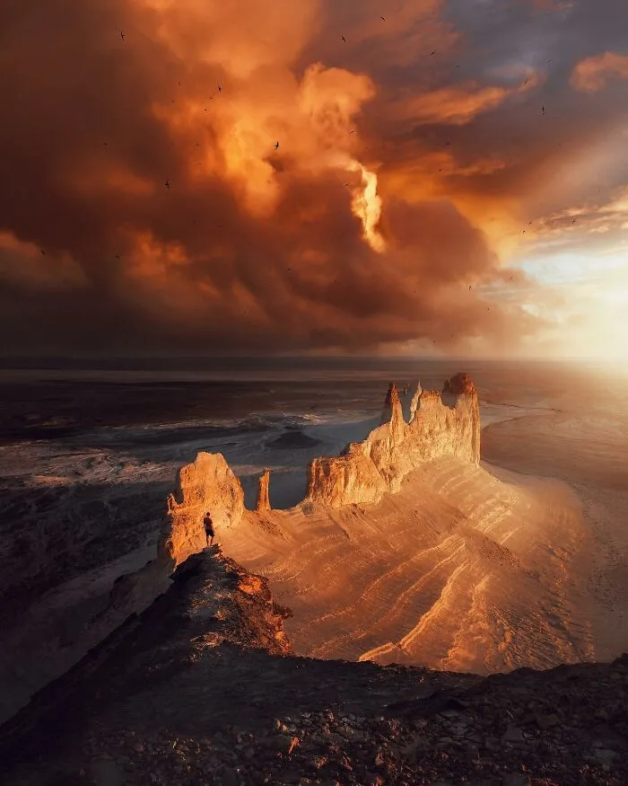 30 Mesmerizing Photos By Juuso Hämäläinen Showcasing The Magic Of Life On Our Planet