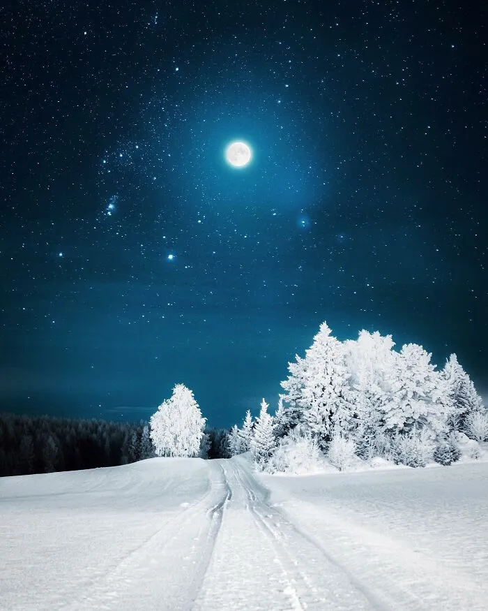 30 Mesmerizing Photos By Juuso Hämäläinen Showcasing The Magic Of Life On Our Planet