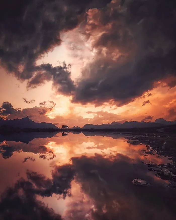 30 Mesmerizing Photos By Juuso Hämäläinen Showcasing The Magic Of Life On Our Planet