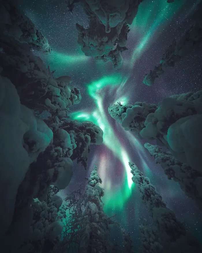 30 Mesmerizing Photos By Juuso Hämäläinen Showcasing The Magic Of Life On Our Planet