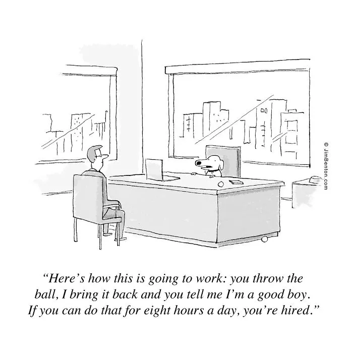 Clever Humor: 30 Comics By The Creative Genius Jim Benton (New Pics)