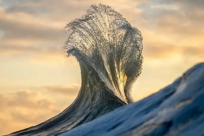 40 Breathtaking Wave Photos By Ray Collins