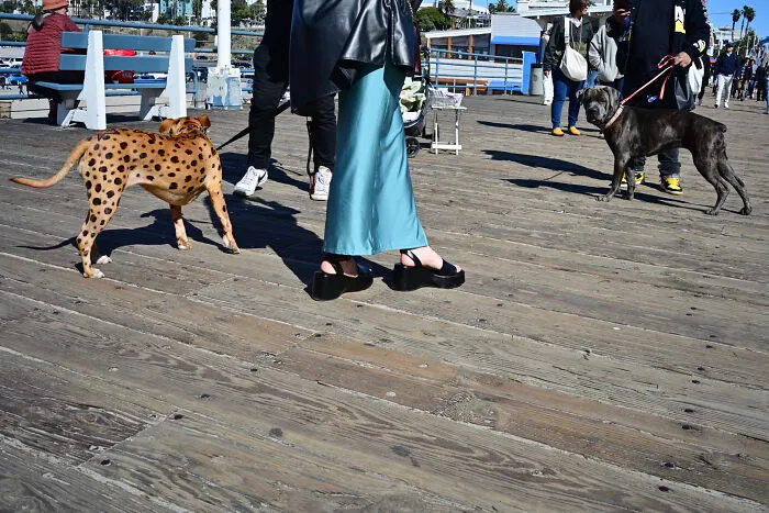Seeking Hidden Connections: My Candid Exploration Of Street Life Over The Years (31 Pics)