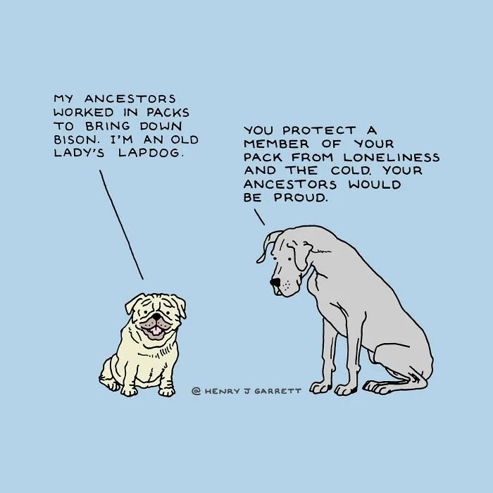 30 Wholesome Cartoons Featuring Social Justice Themes By Henry James Garrett