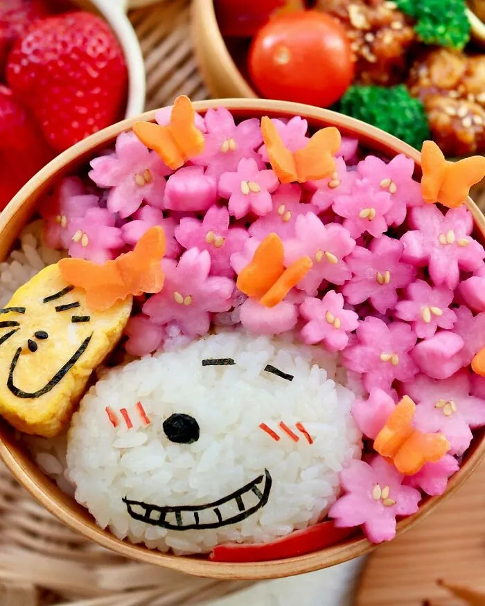 30 Creative Lunchbox Ideas From A Talented Japanese Artist
