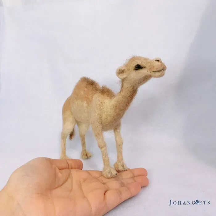 Arabian Camel