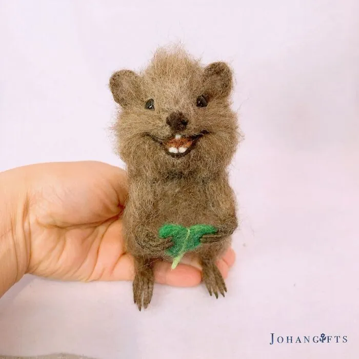Quokka