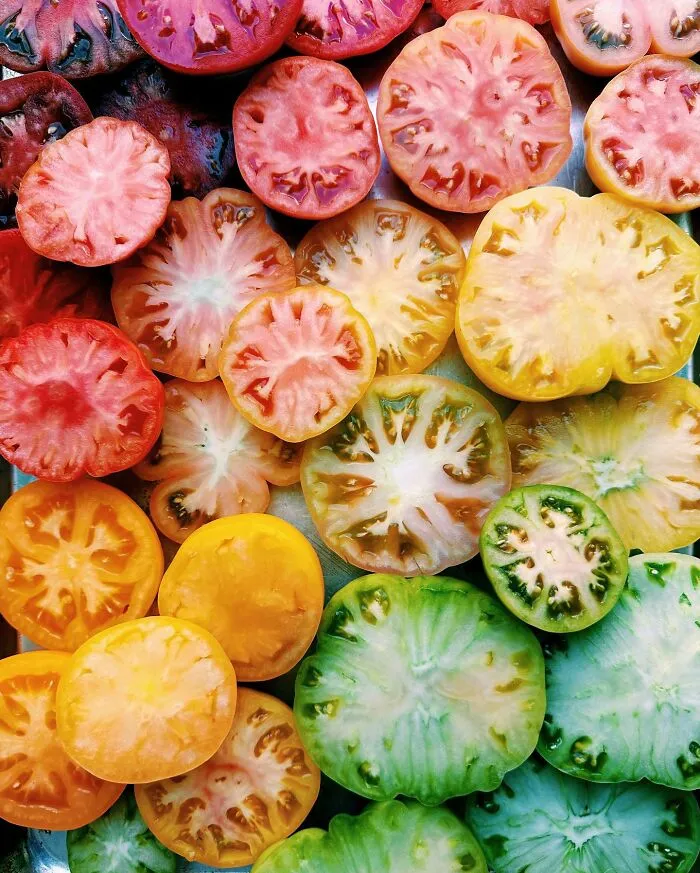 70 Captivating Gradient Photos Of Ordinary Items By Brittany Wright