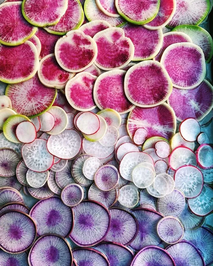 70 Captivating Gradient Photos Of Ordinary Items By Brittany Wright