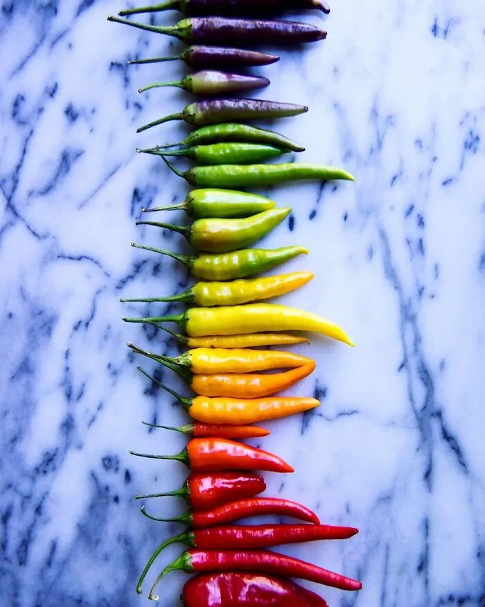 70 Captivating Gradient Photos Of Ordinary Items By Brittany Wright