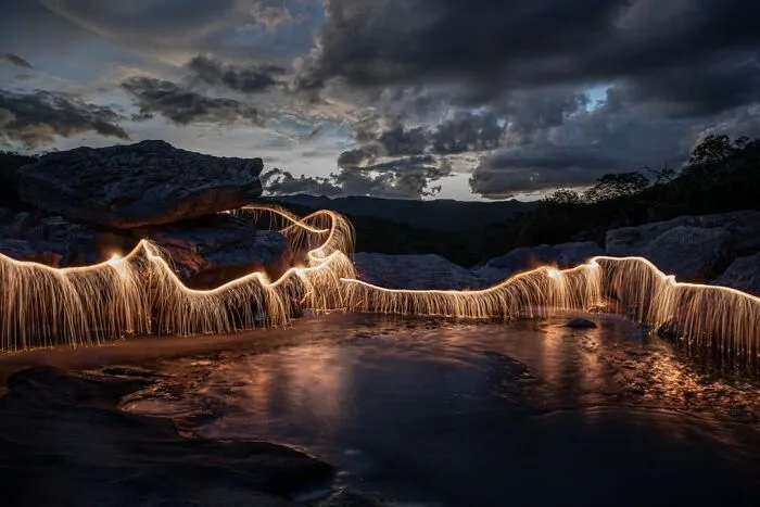 Photographer Captured 35 Enchanting Pictures Of Trees Filled With Sparkles Of Light