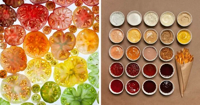70 Captivating Gradient Photos Of Ordinary Items By Brittany Wright