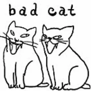 Rutgerbadcat