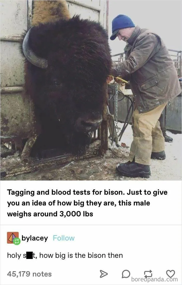 Big Boi