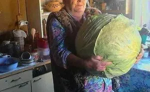 Oh Lord, He Comin’: 50 ‘Absolute Units’ That Shook The Net (Best Of All Time)
