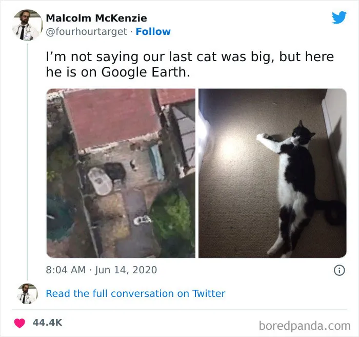 Absolute Unit