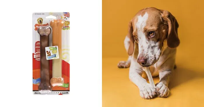 The Best Bones For Dogs, According To Vet