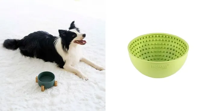 The 12 Best Dog Bowls In 2024