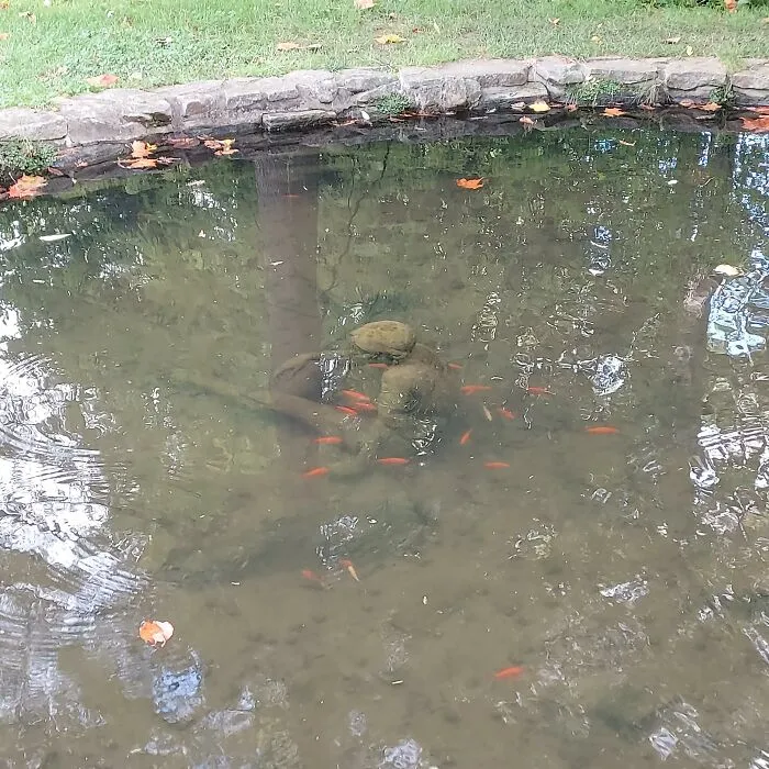 Statue Of A Child At The Bottom Of This Pond