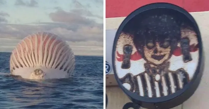 50 “Oddly Terrifying” Posts That Are Not For The Fainthearted (New Pics)