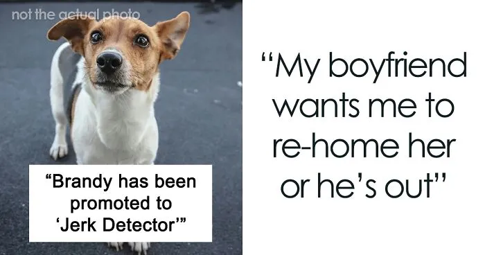 “Re-Home Her Or He’s Out”: Entitled BF Makes Demands About Woman’s Dog, Regrets It