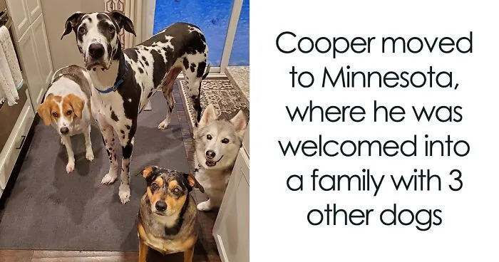 1 out of 150: A Dog With A Rare Short Spine Syndrome Inspires Us To Live Life To The Fullest