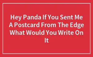 Hey Panda If You Sent Me A Postcard From The Edge What Would You Write On It
