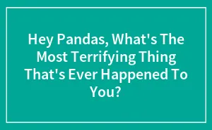 Hey Pandas, What's The Most Terrifying Thing That's Ever Happened To You? (Closed)