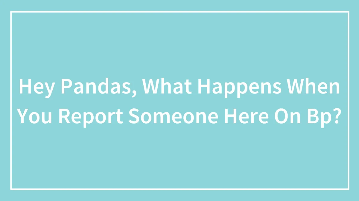 Hey Pandas, What Happens When You Report Someone Here On Bp?