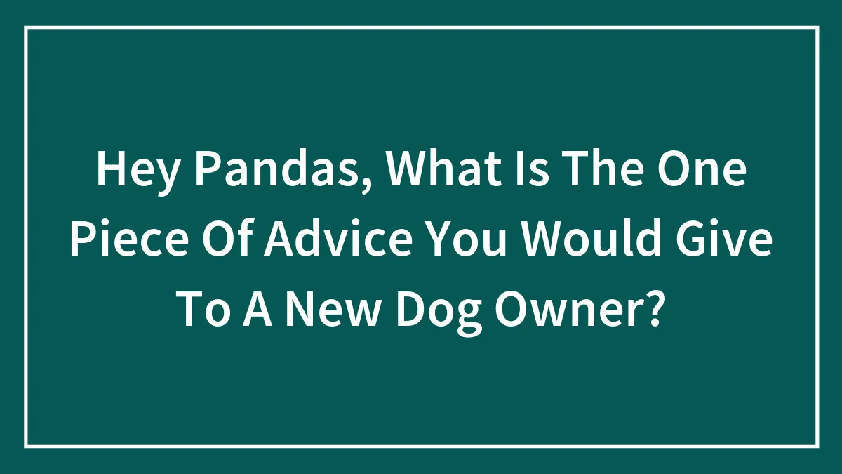 Hey Pandas, What Is The One Piece Of Advice You Would Give To A New Dog Owner? (Closed)